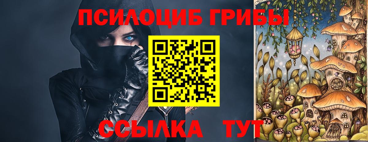 Псилоцибиновые грибы Cubensis Махачкала
